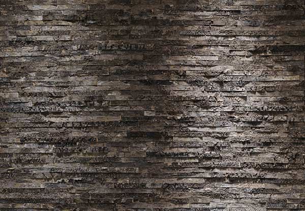 Wall Mural Wallpaper Birch Rind 3.68x2.54m FREE P&P